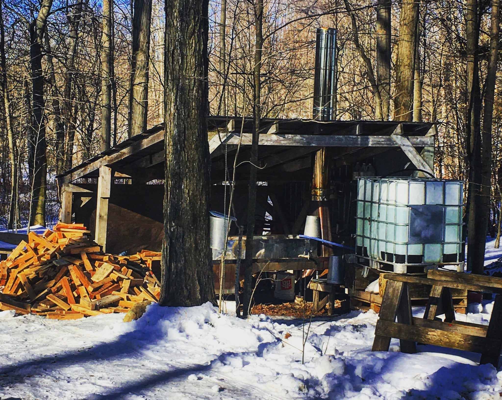 Sugarbush Experiences