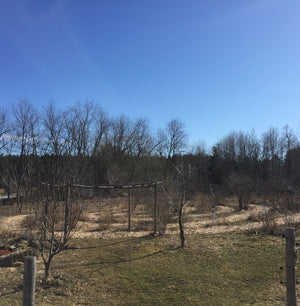 Imagining the Future