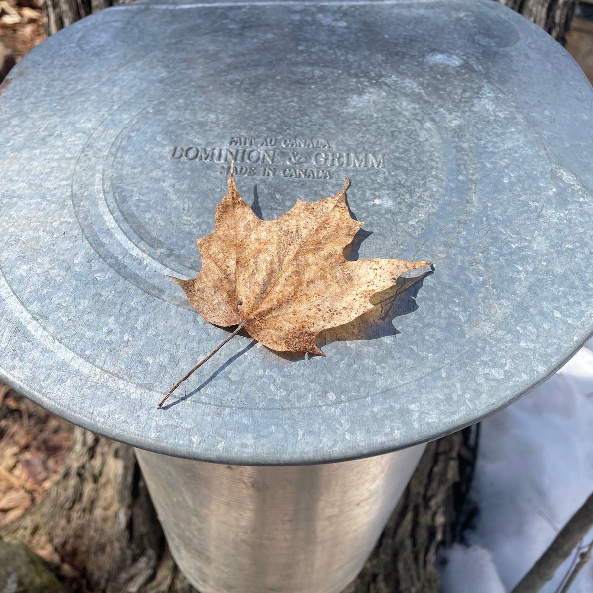 What a time to be a friend of the United States