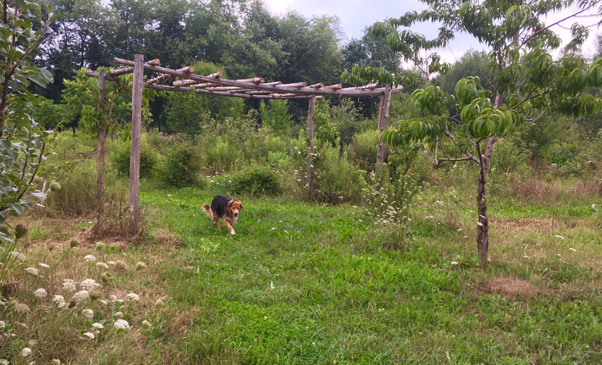 on-farm-experiences