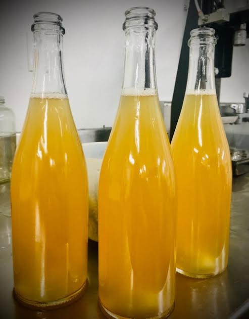 bottles-of-cider