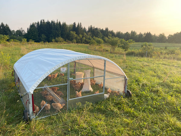 Pasture-Raised Roasting Chicken