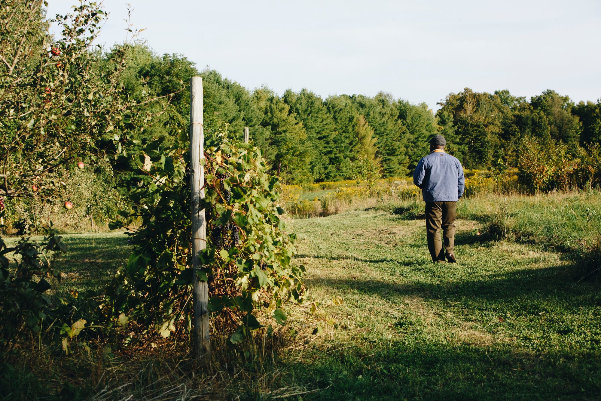 Food, Folks & Farms Heartwood Farm & Cidery