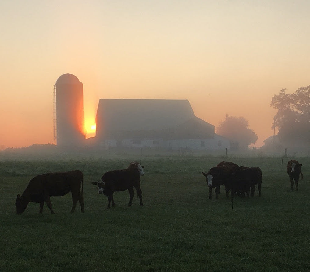Food, Folks & Farms Heartwood Farm & Cidery